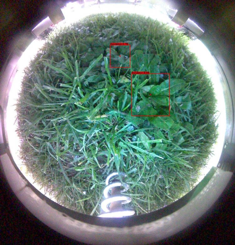 De foto die door de camera is gemaakt. Het rode kader heeft betrekking op de herkenning. De foto die door de camera is gemaakt. Het rode kader heeft betrekking op de herkenning.