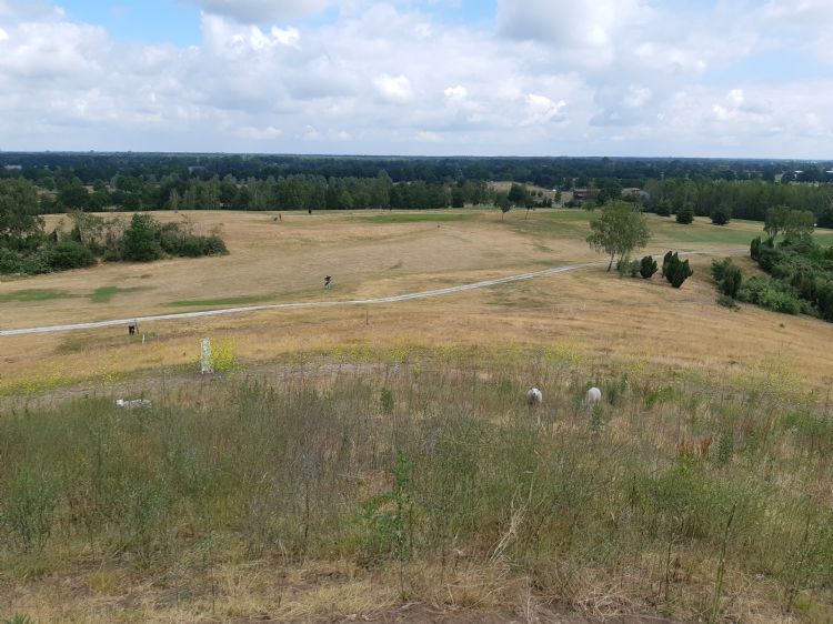 Het uitzicht vanaf de berg op de golfbaan. De berg wordt begraasd door schapen.