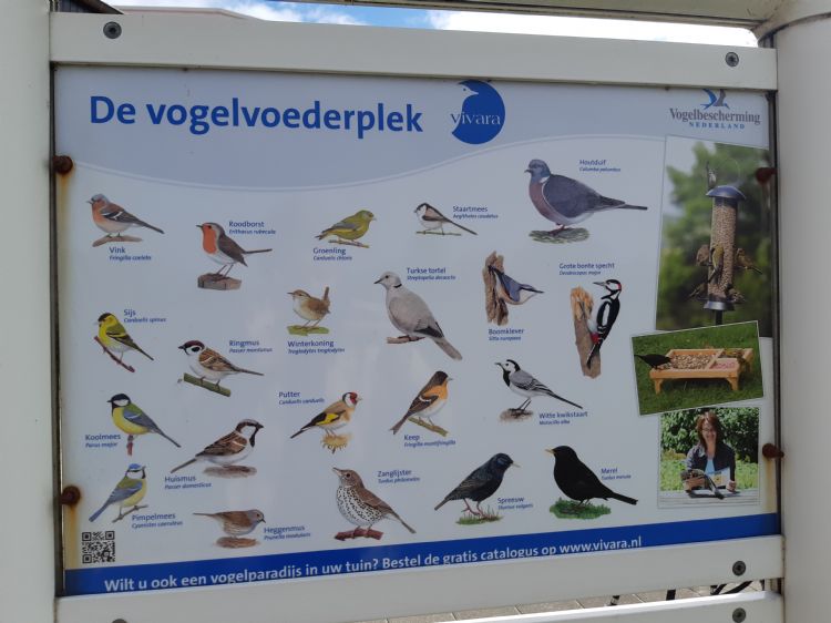 Op De Golfhorst zijn tal van vogelsoorten te zien.