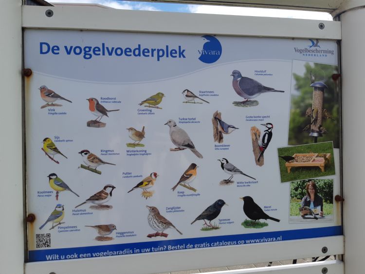 Op De Golfhorst zijn tal van vogelsoorten te zien. Op De Golfhorst zijn tal van vogelsoorten te zien.