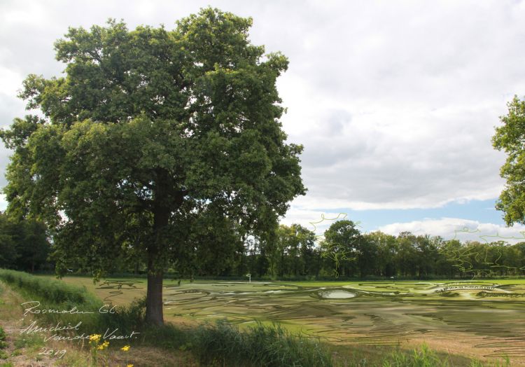 Impressie van de nieuwe baan. Foto: Jol Golf Design.