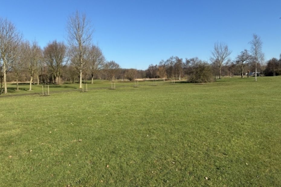 Geplante lindes naast onderhoudspad